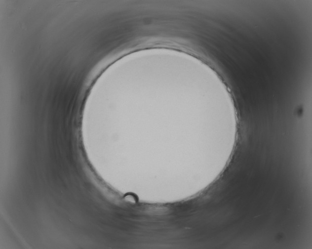 X0000115841525200912242006