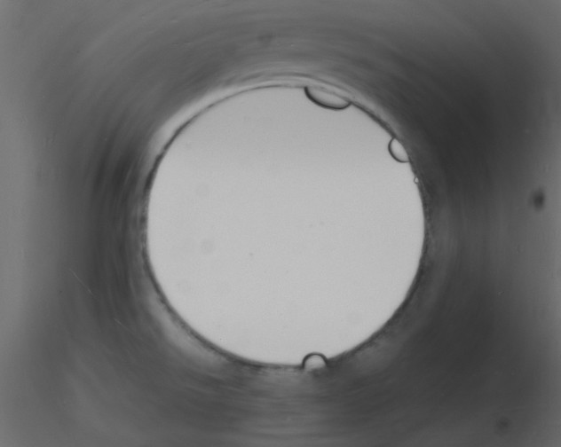 X0000115841526200912242006