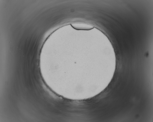 X0000115841527200912242006