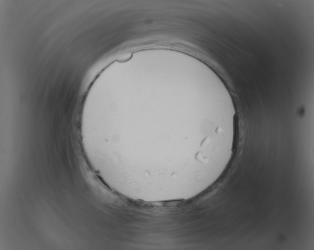 X0000115841530200912242006