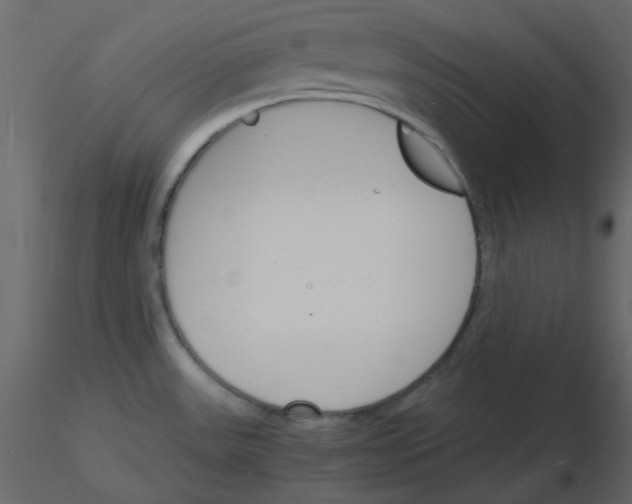 X0000115841531200912242006