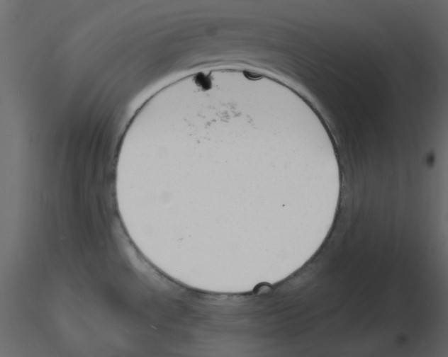 X0000115841534200912242006