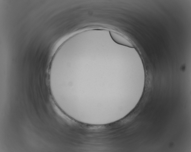 X0000115841535200912242006