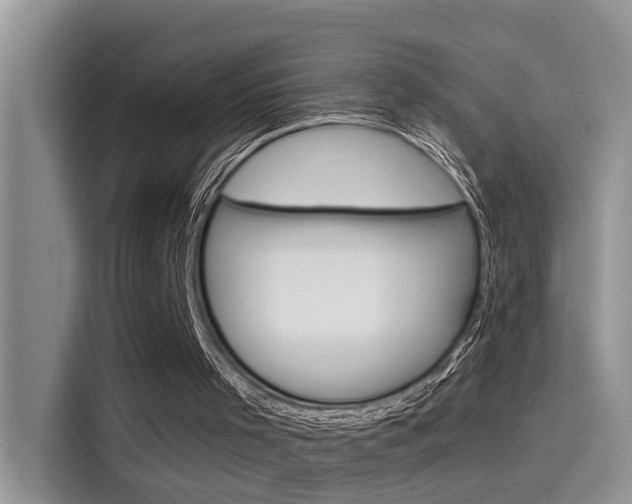 X0000115850001200911131136
