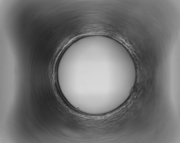 X0000115850002200911131136
