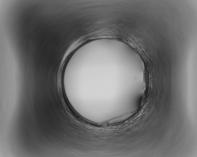 X0000115850004200911131136