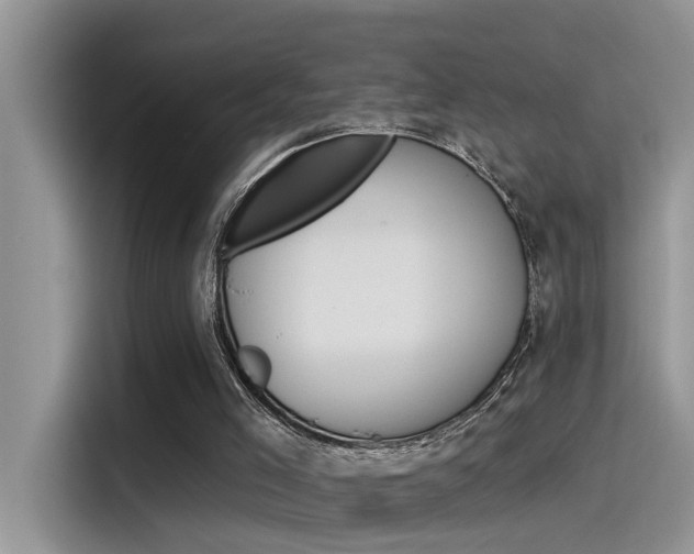 X0000115850005200911131136