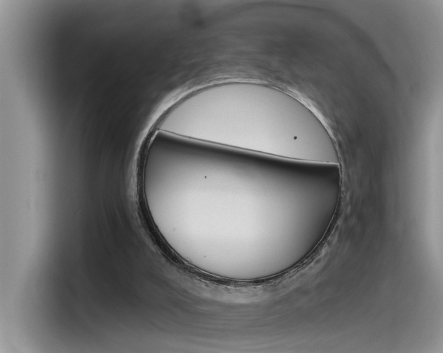 X0000115850008200911131136