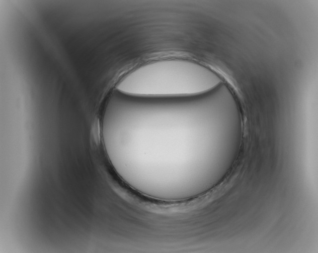 X0000115850013200911131135