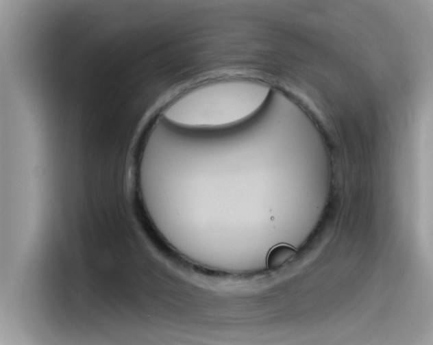 X0000115850016200911131135