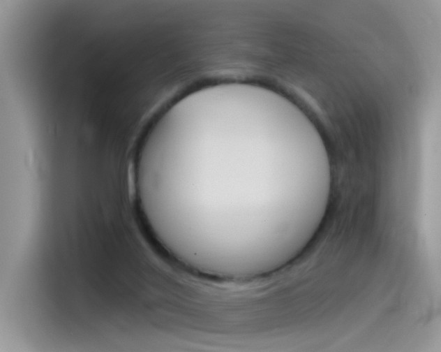 X0000115850020200911131135