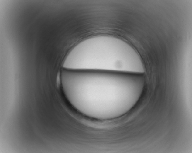 X0000115850028200911131135
