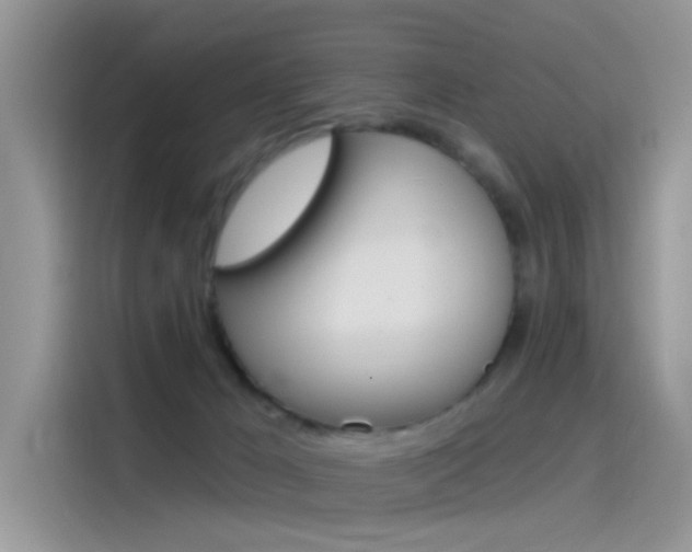 X0000115850029200911131135