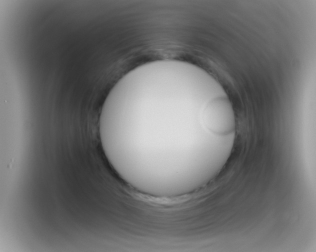 X0000115850030200911131135