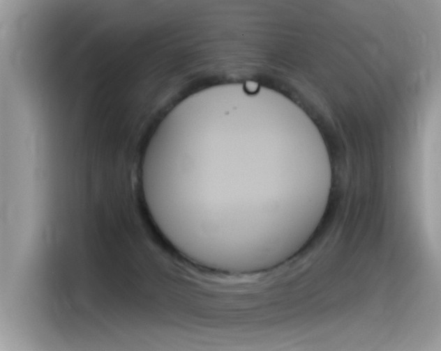 X0000115850032200911131135