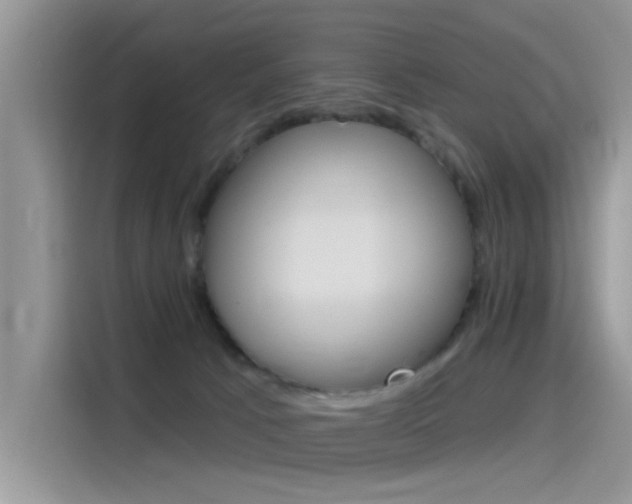 X0000115850033200911131135