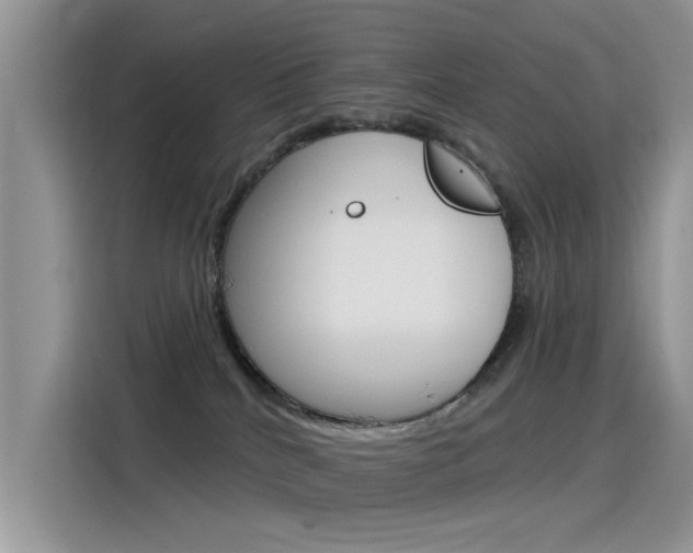 X0000115850040200911131135