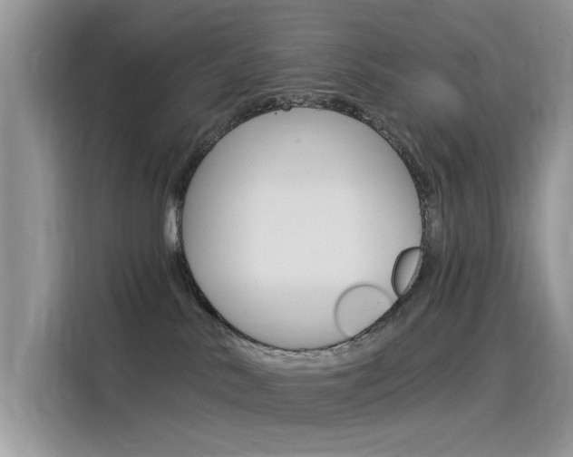 X0000115850042200911131135