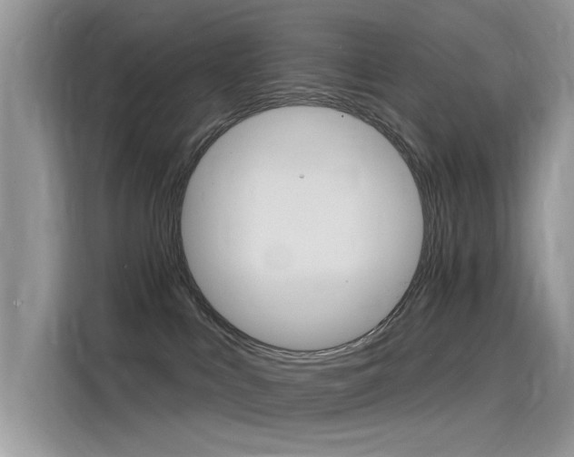 X0000115850043200911131135