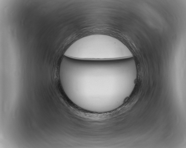 X0000115850044200911131135
