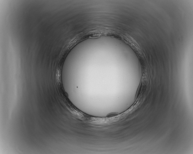 X0000115850045200911131135