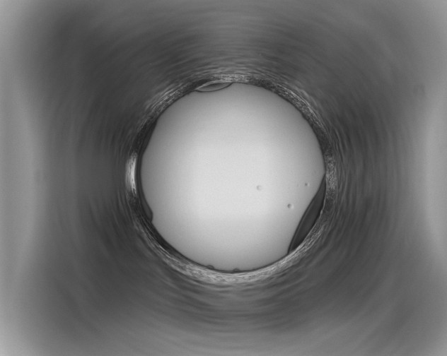 X0000115850047200911131135