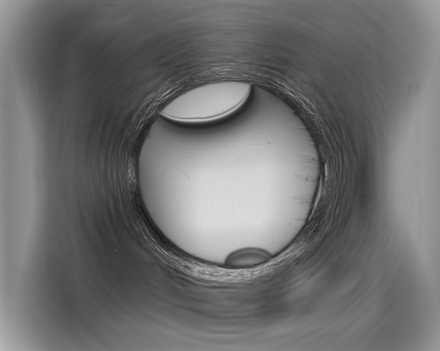 X0000115850048200911131135