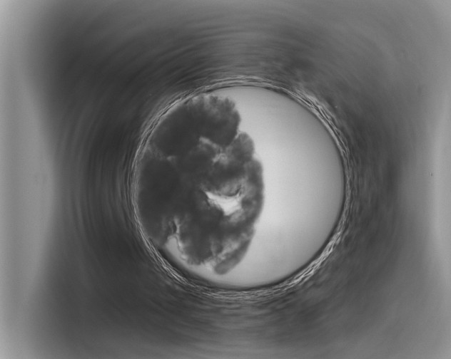 X0000115850049200911131134