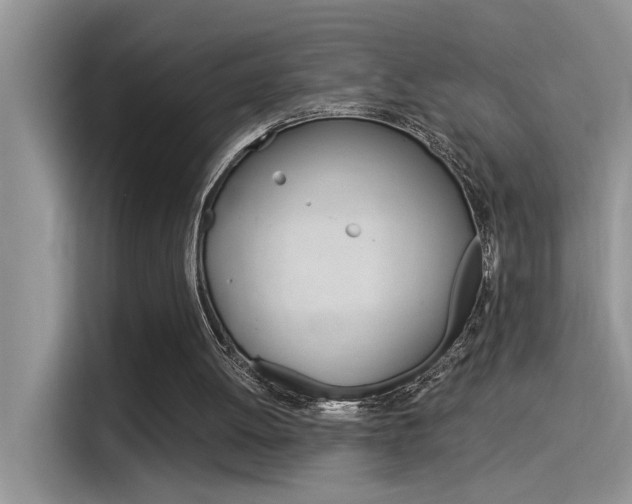 X0000115850052200911131134