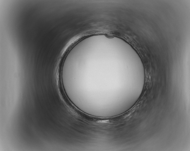 X0000115850054200911131134