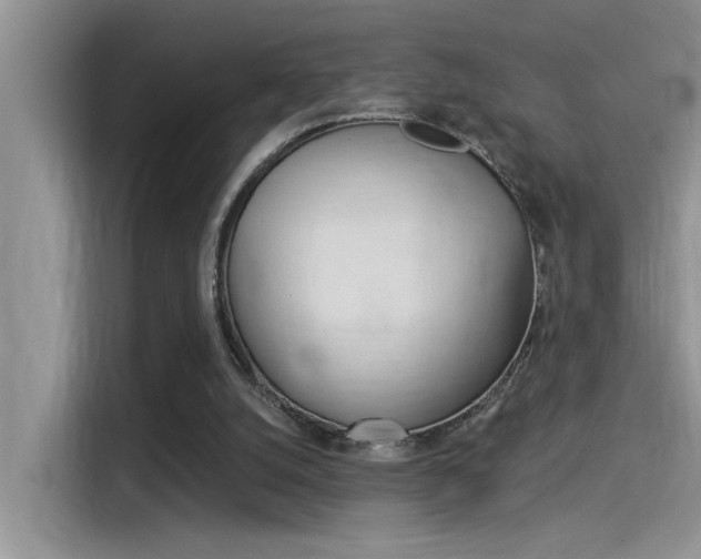 X0000115850056200911131134