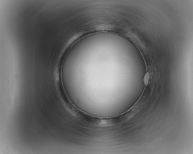 X0000115850060200911131135