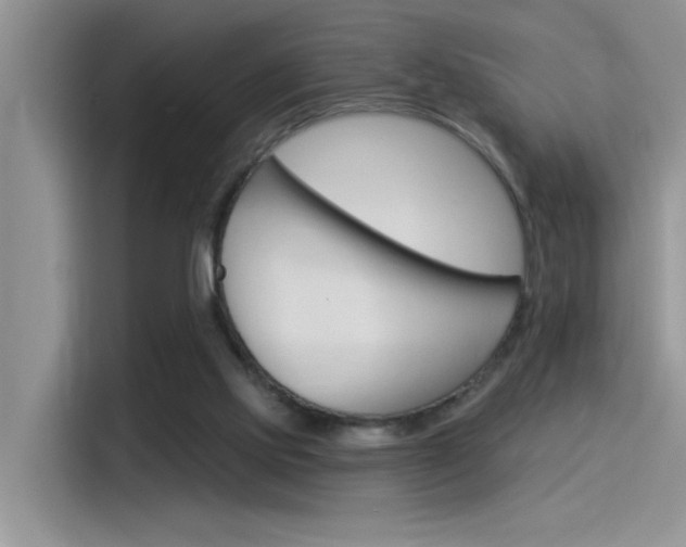 X0000115850061200911131135