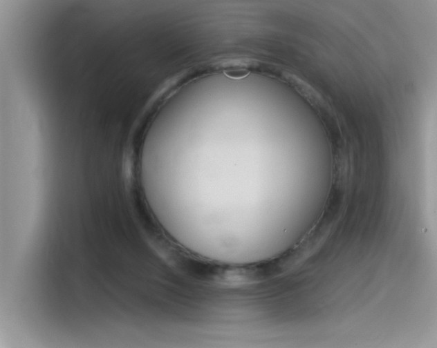 X0000115850064200911131135
