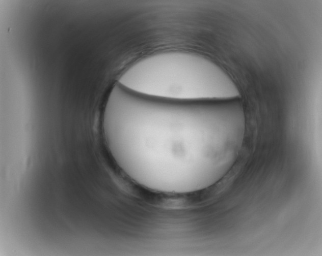 X0000115850066200911131135