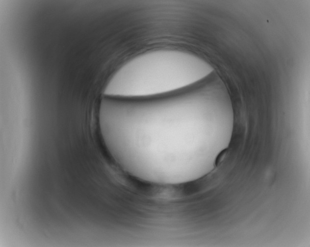 X0000115850074200911131135