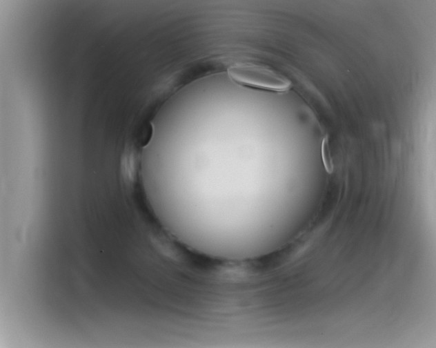 X0000115850076200911131135