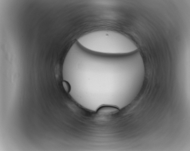X0000115850077200911131135