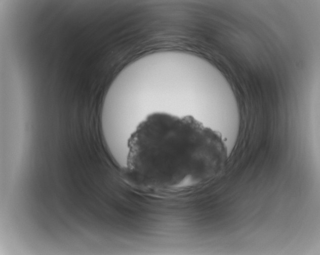 X0000115850083200911131135