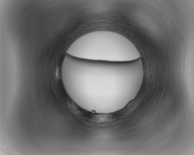 X0000115850089200911131135