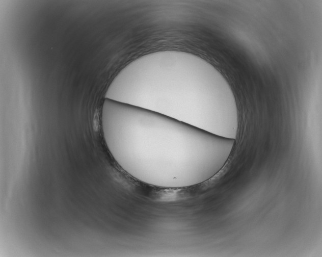 X0000115850090200911131135