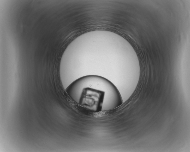 X0000115850092200911131135