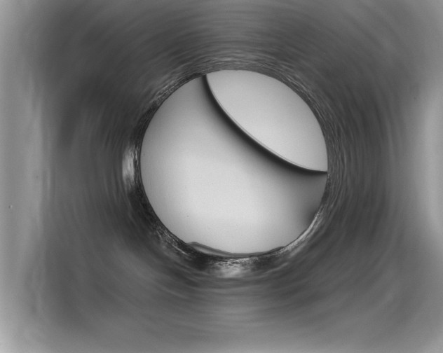 X0000115850094200911131135