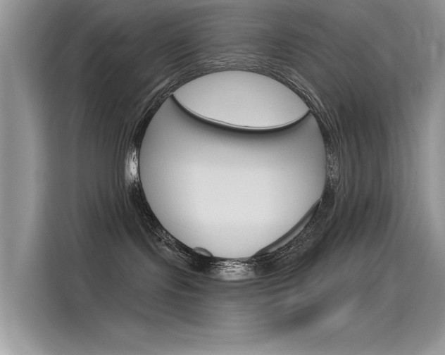 X0000115850095200911131135
