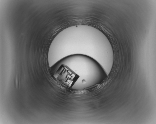 X0000115850096200911131135