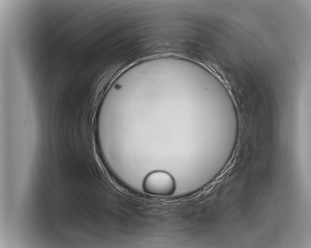 X0000115850097200911131134