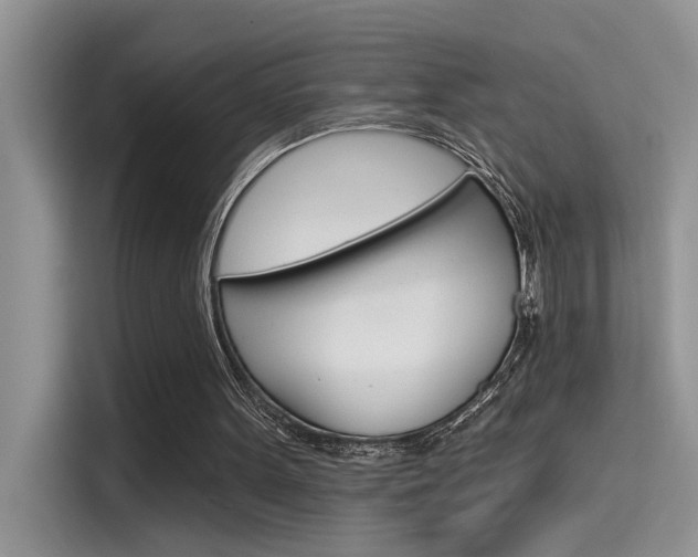 X0000115850099200911131134