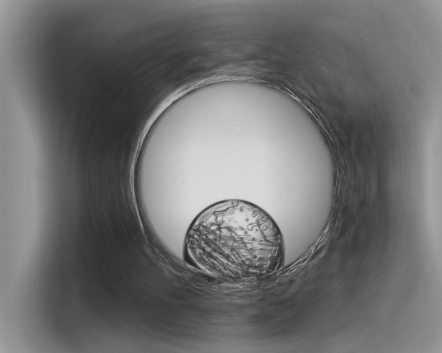 X0000115850100200911131134