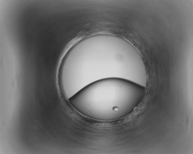 X0000115850104200911131134