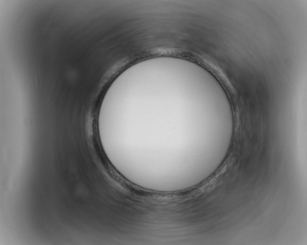 X0000115850106200911131134